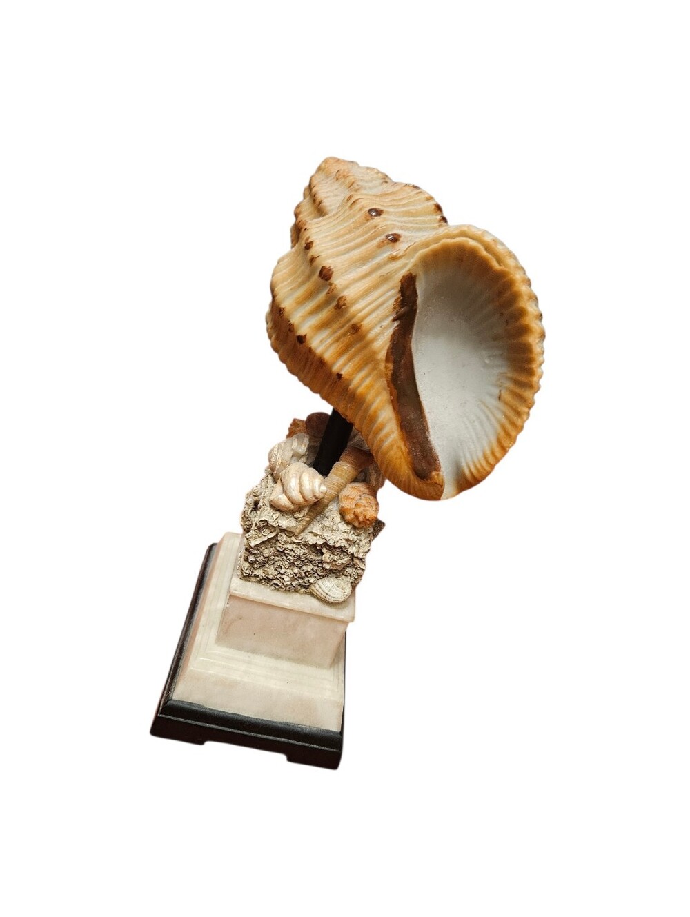 Coastal Inspired Seashell Decorative Sculpture On Tiered Marble Base! - Picture 2 of 4
